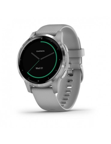 Garmin vivoactive 4S Powder Gray/Silver