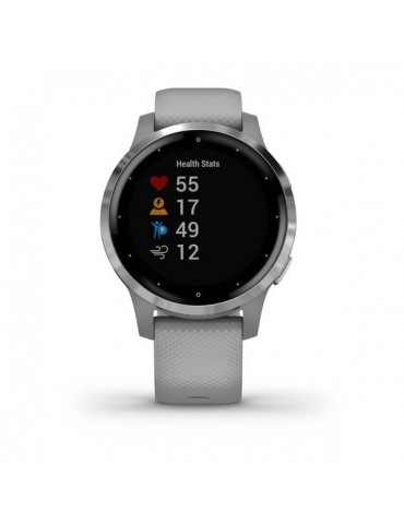 Garmin vivoactive 4S Powder Gray/Silver