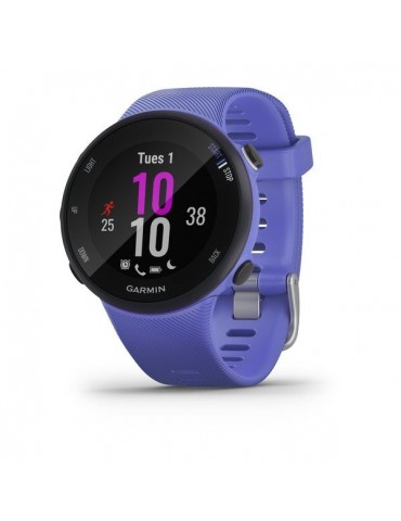 Garmin Forerunner 45 Small Iris/Black