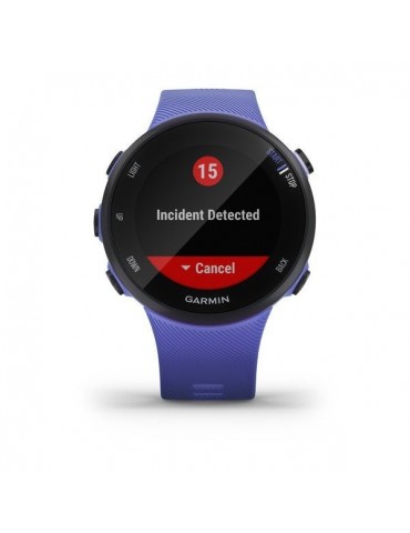 Garmin Forerunner 45 Small Iris/Black